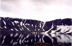 seid2.gif